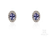 Oval Tanzanite Earring Studs in White Gold Fancy Frame